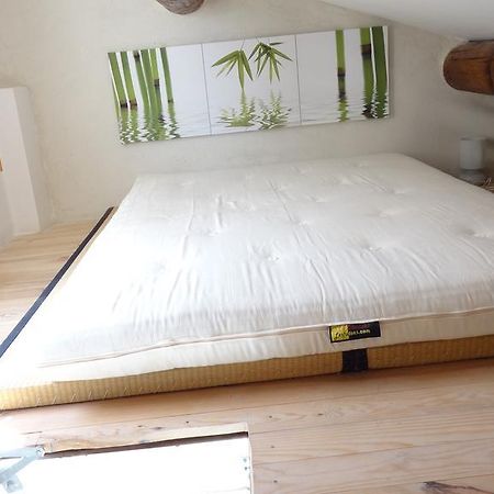 Appartement Avec Terrasse,Mezzanine,Patangארל חדר תמונה